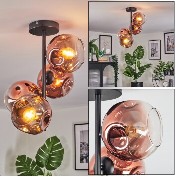 Ripoll ceiling light, globe light clear, coppery, 4-light sources