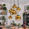 Gastor hanging light, globe light, pendant light gold, clear, 6-light sources