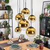 Gastor hanging light, globe light, pendant light gold, clear, 6-light sources