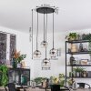 Koyoto hanging light, globe light, Cluster pendant lamp 35 cm chrome, clear, Smoke-coloured, 4-light sources