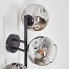 Ripoll globe light, wall light chrome, clear, Smoke-coloured, 3-light sources