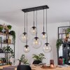 Gastor hanging light, globe light, pendant light clear, 6-light sources