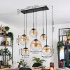 Gastor hanging light, globe light, pendant light Amber, clear, 6-light sources