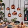 Gastor hanging light, globe light, pendant light clear, coppery, 6-light sources