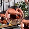 Gastor hanging light, globe light, pendant light clear, coppery, 6-light sources