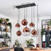 Gastor hanging light, globe light, pendant light clear, coppery, 6-light sources