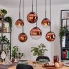 Gastor hanging light, globe light, pendant light clear, coppery, 6-light sources