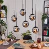 Gastor hanging light, globe light, pendant light chrome, Smoke-coloured, 6-light sources