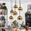 Gastor hanging light, globe light, pendant light gold, clear, 6-light sources