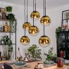 Gastor hanging light, globe light, pendant light gold, clear, 6-light sources