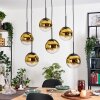 Gastor hanging light, globe light, pendant light gold, clear, 6-light sources