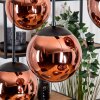 Gastor hanging light, globe light, pendant light coppery, 6-light sources