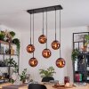 Gastor hanging light, globe light, pendant light coppery, 6-light sources