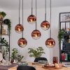 Gastor hanging light, globe light, pendant light clear, coppery, 6-light sources