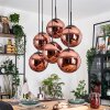 Gastor hanging light, globe light, pendant light coppery, 6-light sources