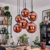 Gastor hanging light, globe light, pendant light coppery, 6-light sources