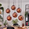Gastor hanging light, globe light, pendant light coppery, 6-light sources