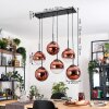 Gastor hanging light, globe light, pendant light clear, coppery, 6-light sources