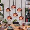 Gastor hanging light, globe light, pendant light clear, coppery, 6-light sources