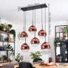 Gastor hanging light, globe light, pendant light clear, coppery, 6-light sources