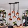 Gastor hanging light, globe light, pendant light clear, coppery, 6-light sources
