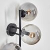 Gastor globe light, wall light Smoke-coloured, 3-light sources