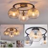 Koyoto ceiling light, globe light Amber, clear, Smoke-coloured, 3-light sources