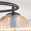 Koyoto ceiling light, globe light Amber, clear, Smoke-coloured, 3-light sources