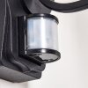 Lentua Outdoor Wall Light black, 1-light source, Motion sensor