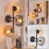 Gastor globe light, wall light Amber, clear, Smoke-coloured, 3-light sources