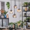 Koyoto hanging light, globe light, Cluster pendant lamp Amber, clear, Smoke-coloured, 4-light sources