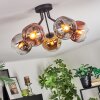 Ripoll ceiling light, globe light chrome, gold, clear, coppery, Smoke-coloured, 5-light sources