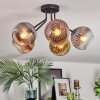 Ripoll ceiling light, globe light gold, clear, coppery, Smoke-coloured, 5-light sources