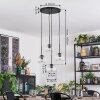 Ripoll hanging light, globe light, Cluster pendant lamp clear, 4-light sources