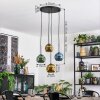 Ripoll hanging light, globe light, Cluster pendant lamp blue, gold, green, 4-light sources