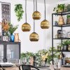 Ripoll hanging light, globe light, Cluster pendant lamp gold, 4-light sources