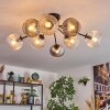 Koyoto ceiling light, globe light Amber, clear, Smoke-coloured, 8-light sources
