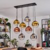 Gastor hanging light, globe light, pendant light chrome, gold, clear, coppery, Smoke-coloured, 8-light sources