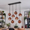 Gastor hanging light, globe light, pendant light clear, coppery, 8-light sources