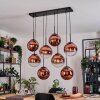 Gastor hanging light, globe light, pendant light clear, coppery, 8-light sources