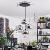 Koyoto hanging light, globe light, Cluster pendant lamp chrome, clear, Smoke-coloured, 4-light sources