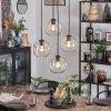 Ripoll hanging light, globe light, Cluster pendant lamp clear, 4-light sources