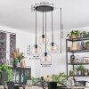 Ripoll hanging light, globe light, Cluster pendant lamp clear, 4-light sources