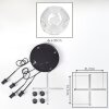 Ripoll hanging light, globe light, Cluster pendant lamp clear, 4-light sources