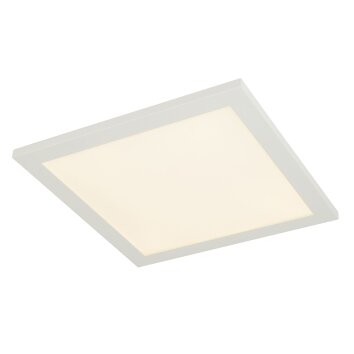 Globo ROSI Ceiling light LED white, 1-light source