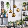 Ripoll hanging light, globe light, Cluster pendant lamp gold, 4-light sources