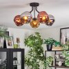Ripoll ceiling light, globe light chrome, gold, coppery, Smoke-coloured, 5-light sources