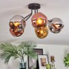 Ripoll ceiling light, globe light chrome, gold, coppery, Smoke-coloured, 5-light sources