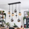 Gastor hanging light, globe light, pendant light Amber, chrome, clear, Smoke-coloured, 8-light sources
