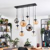 Gastor hanging light, globe light, pendant light Amber, chrome, clear, Smoke-coloured, 8-light sources